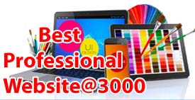 Professional Website @ 3000 